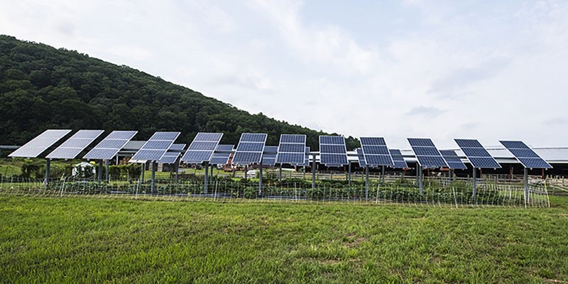 Solar Agrivoltaics UMass Crop Solar Agrivoltaics UMass Crop